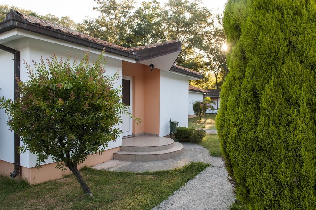 Hotel Htp Velika Plaza Ulcinj Habitación foto